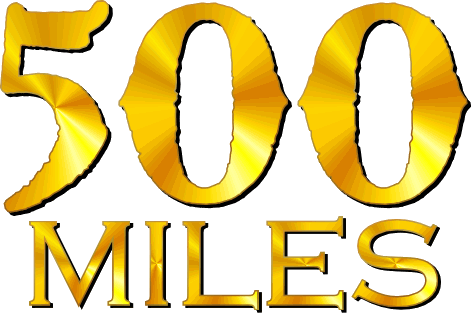 2015, year 2015, training, marathon, goal, 500 miles, 500 miles in 2015, 500 miles in a year, kayano 21, kayano 21 17 per cent, 45 per cent,